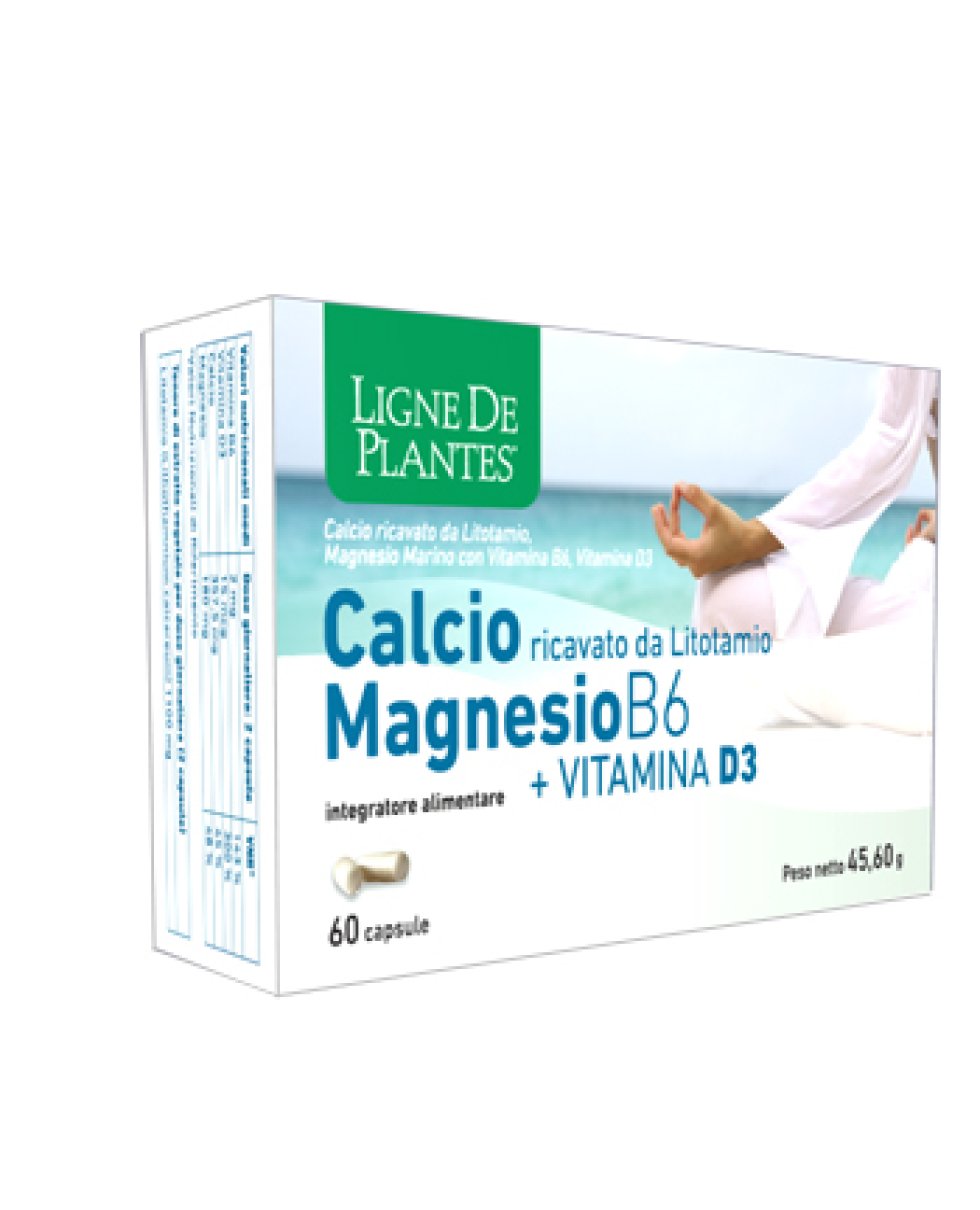 CALCIO+MAGNESIO B6+VITD3 60CPS