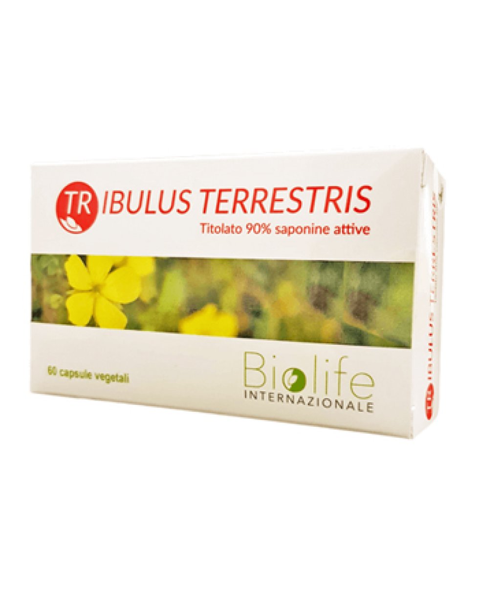 TRIBULUS TERRESTRIS 60CPR