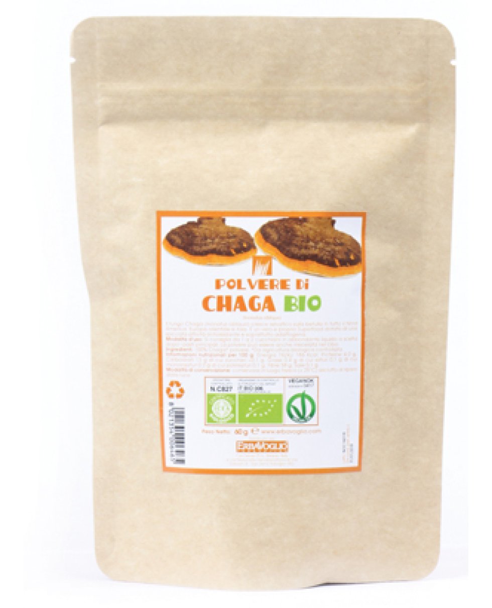 CHAGA POLVERE BIO 60G