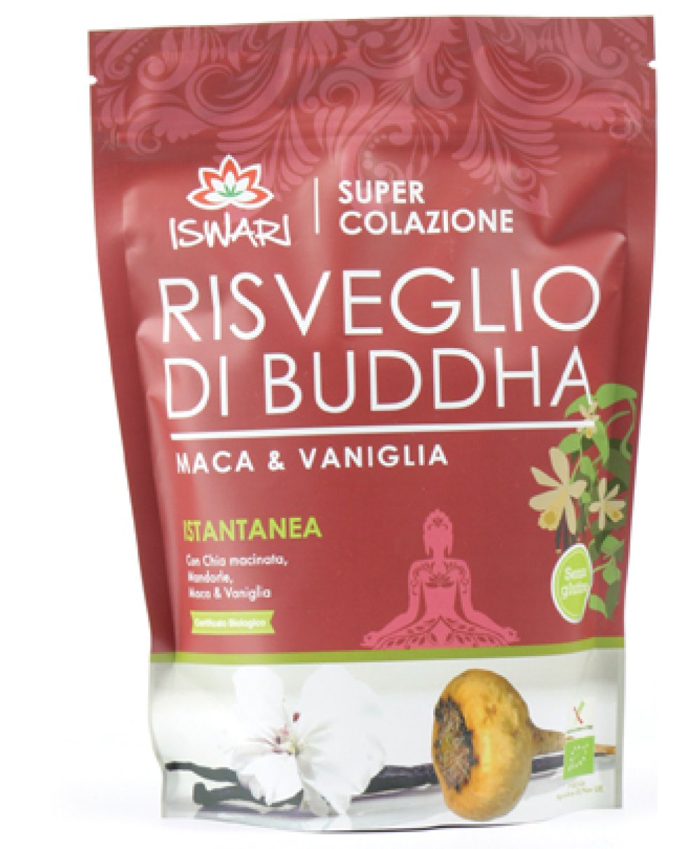 RISVEGLIO BUDDHA MACA VAN