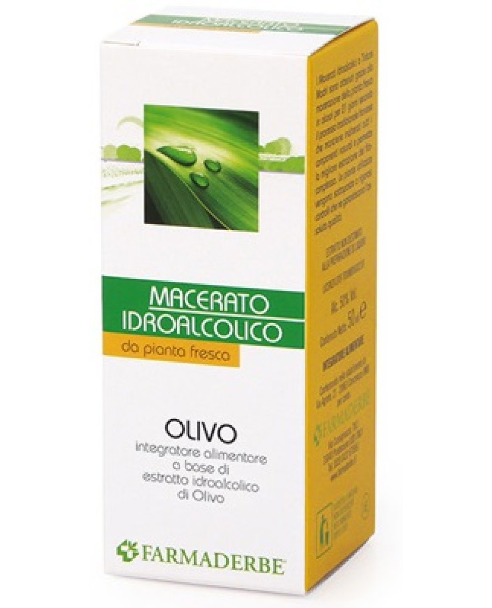 OLIVO MACERATO IDROALCOLICO