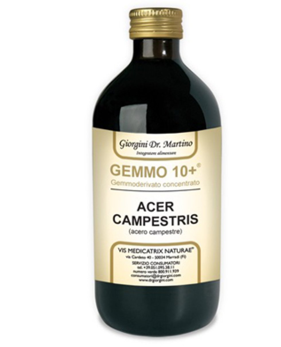 ACERO CAMP 500ML ANALCO GEM10+