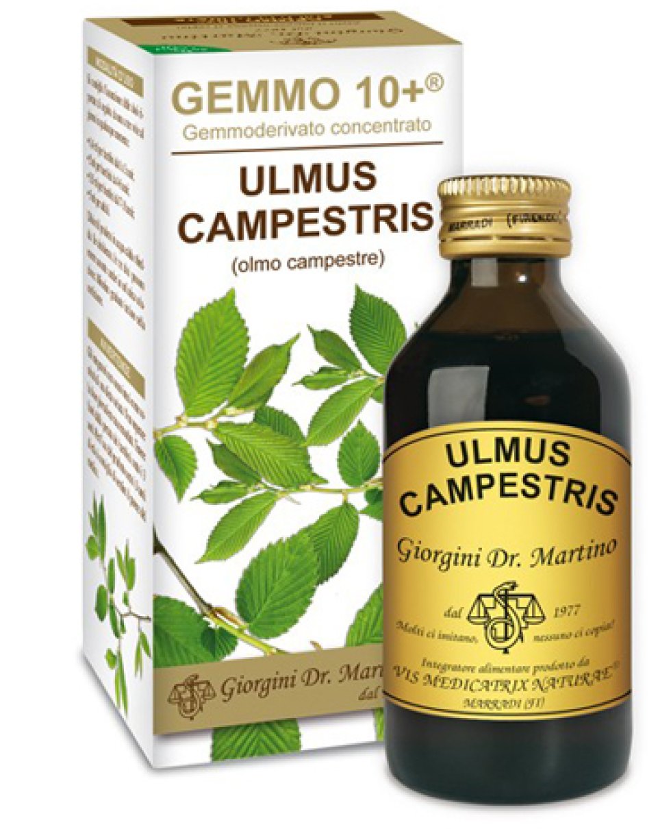 OLMO CAMP 100ML ANALCO GEM 10+