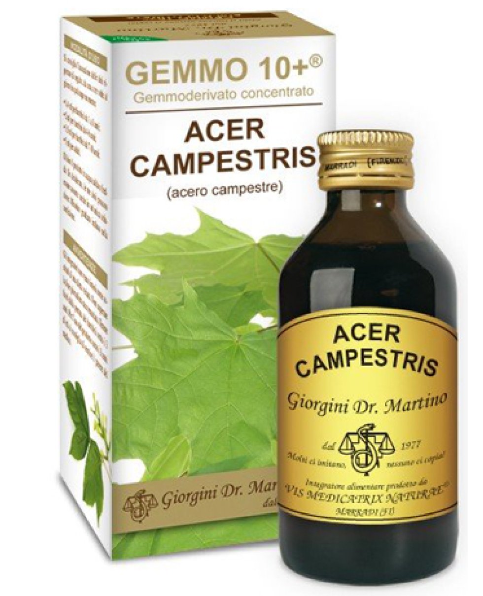 ACERO CAMP 100ML ANALCO GEM10+