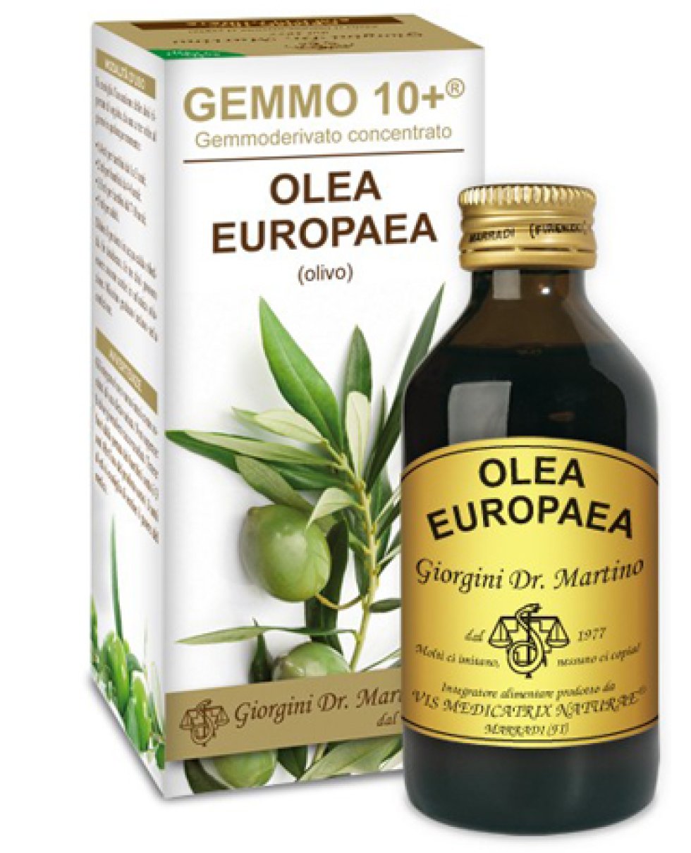 OLIVO 100ML ANALCO GEMMO 10+