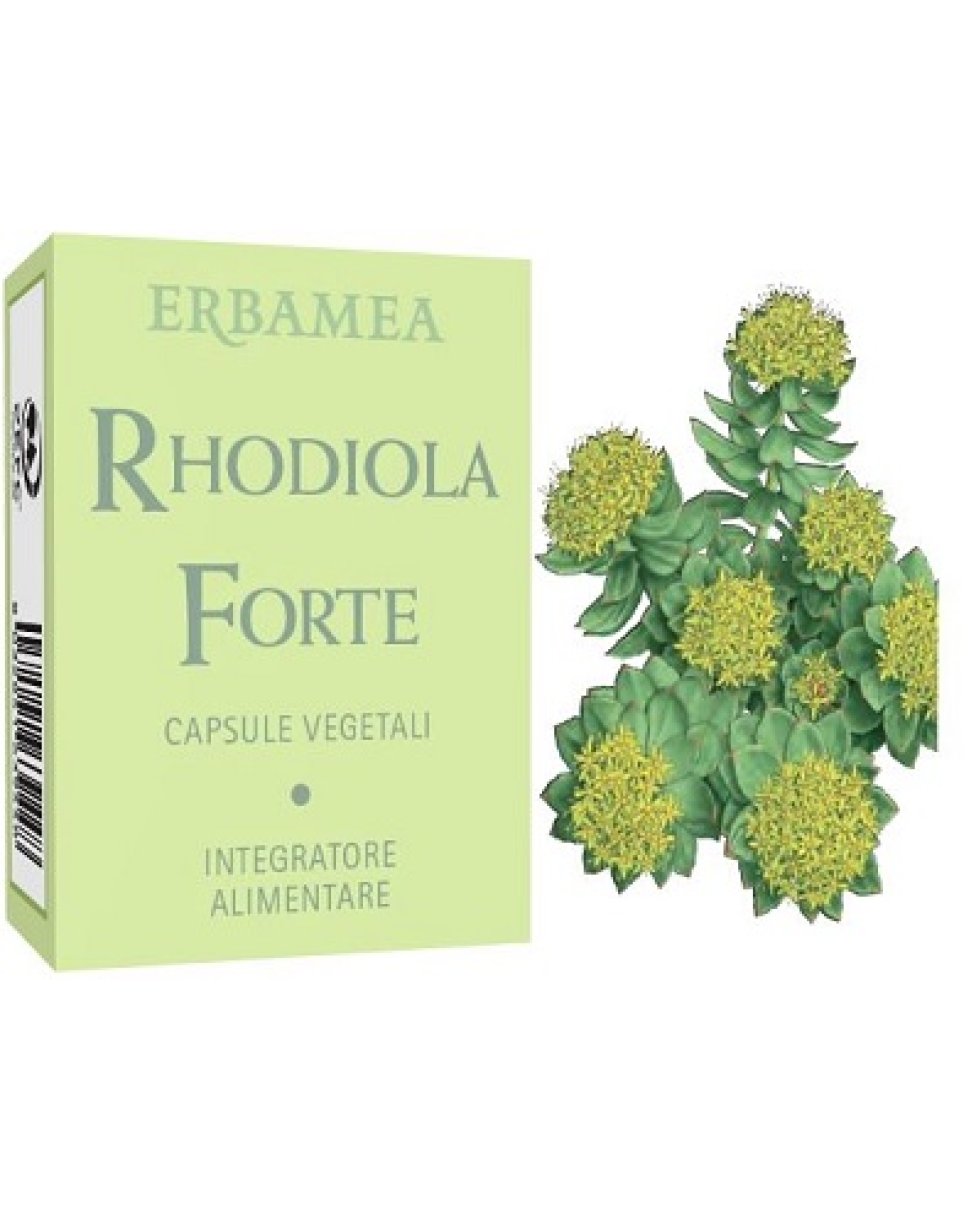 RHODIOLA FORTE 24CPS