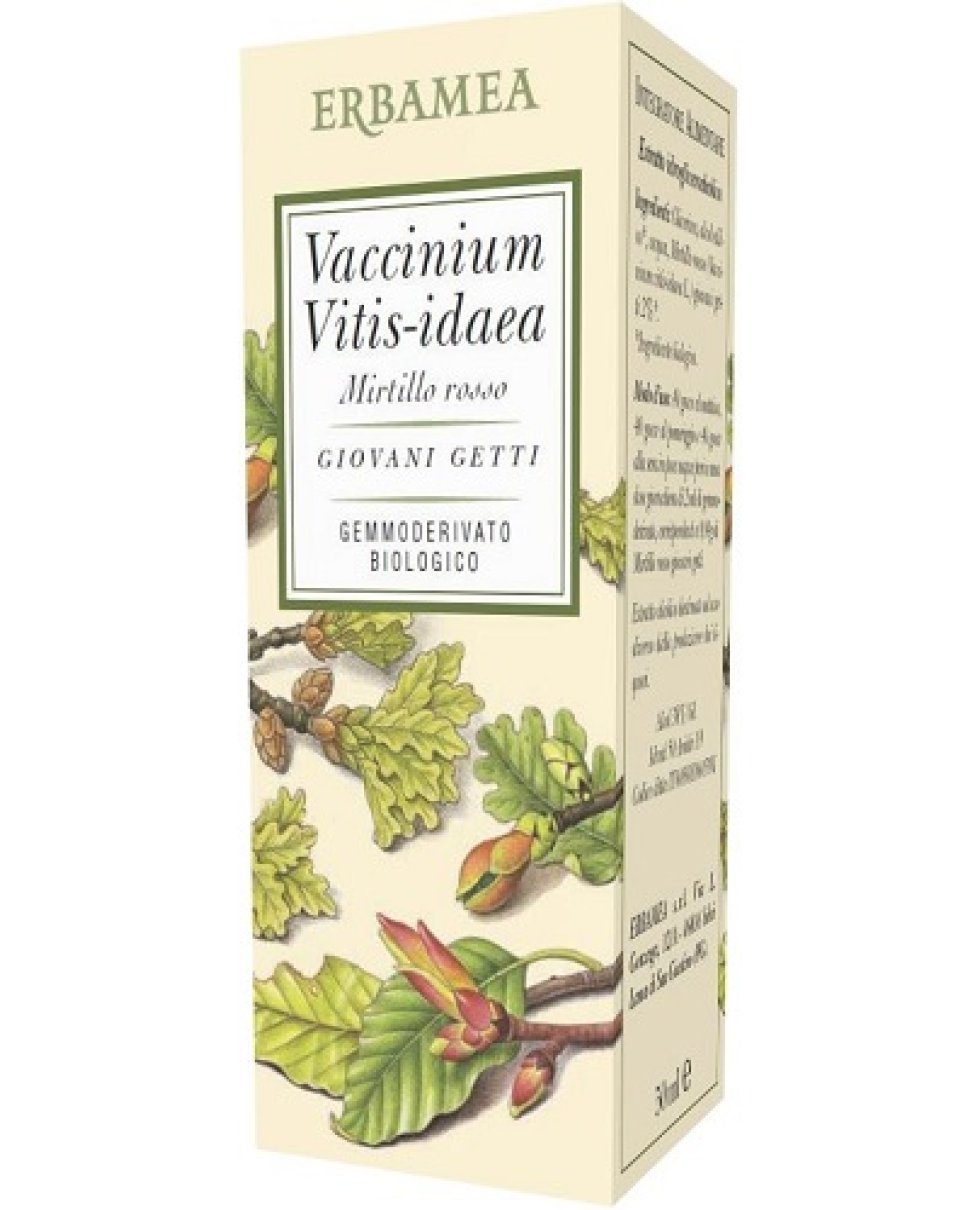 VACCINIUM VITIS IDAEA M R 50ML