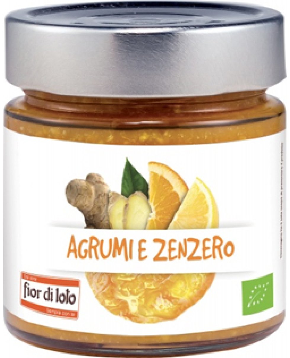 COMPOSTA AGRUMI/ZENZERO BIO