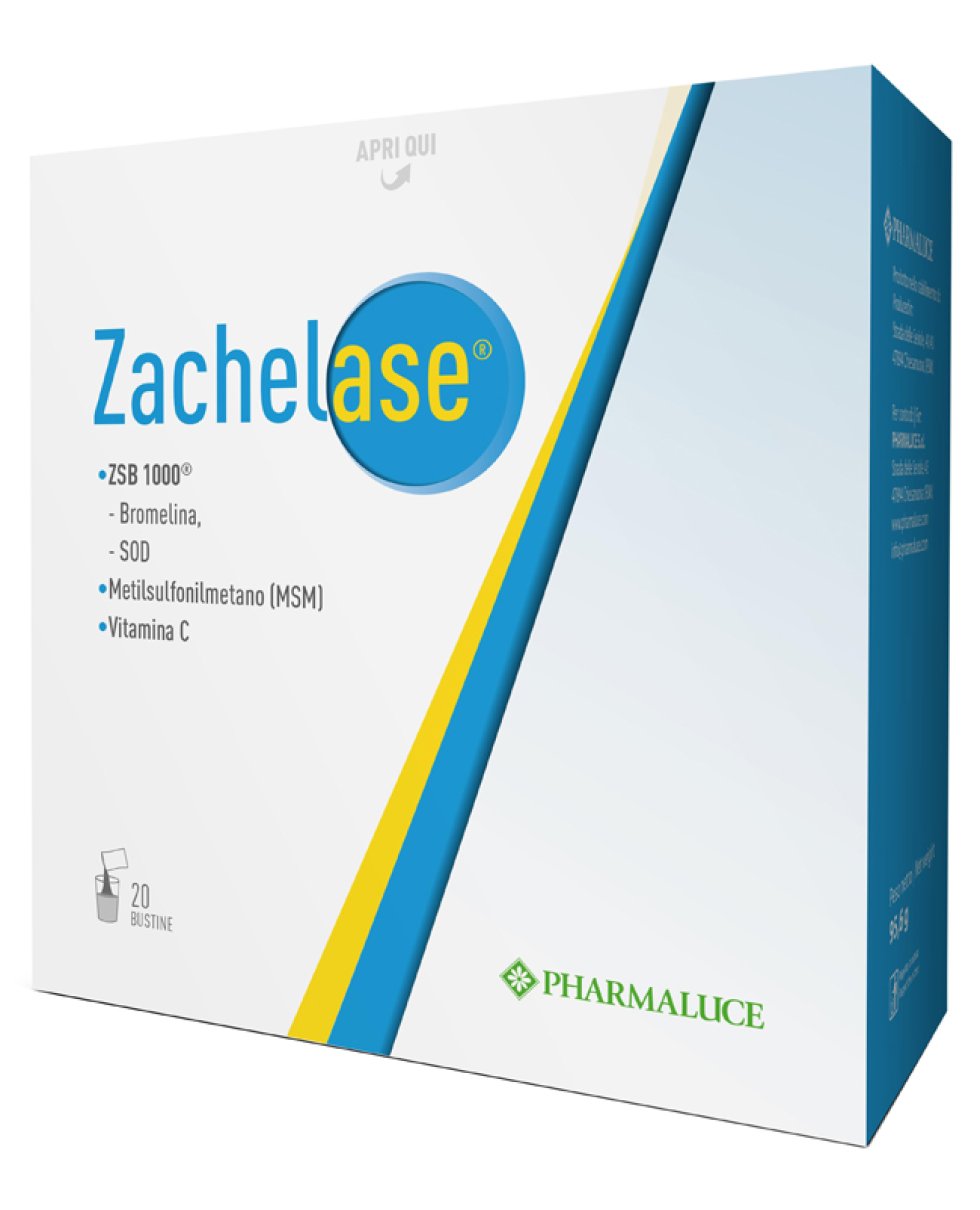 ZACHELASE 20BUST