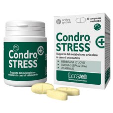 CONDROSTRESS +30CPR MASTIC