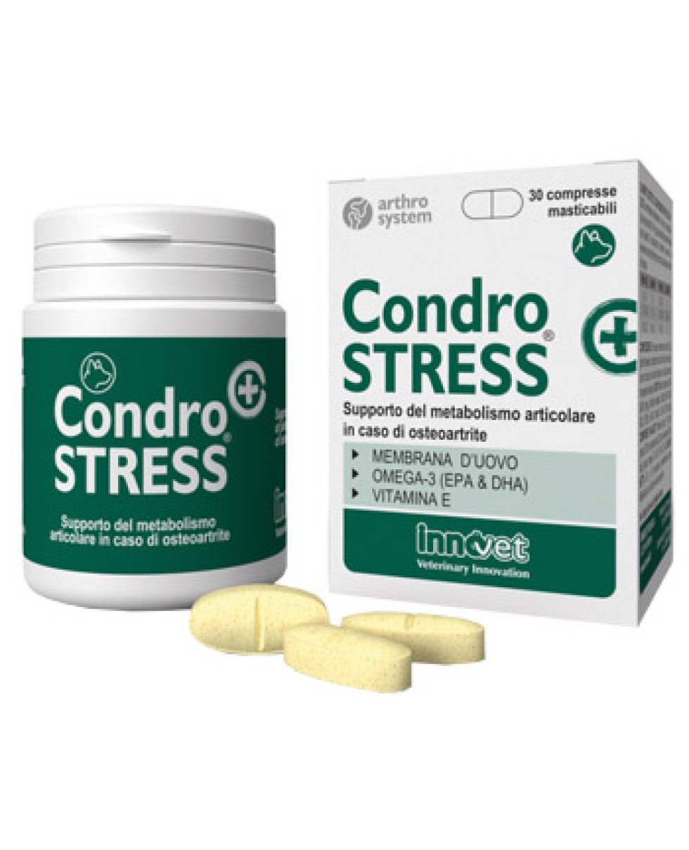 CONDROSTRESS +30CPR MASTIC