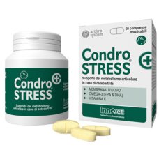 CONDROSTRESS +60CPR MASTIC