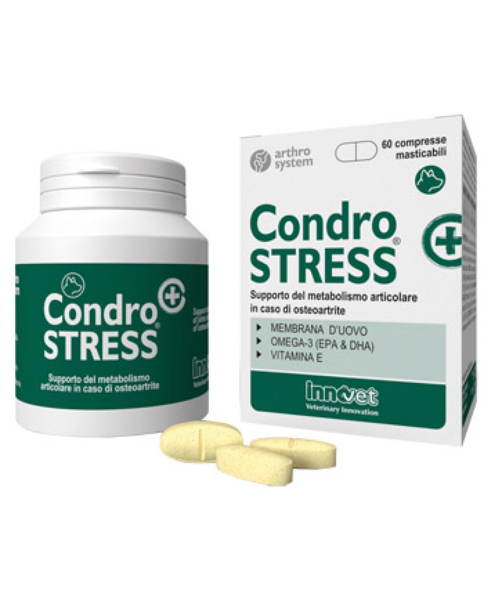 CONDROSTRESS +60CPR MASTIC