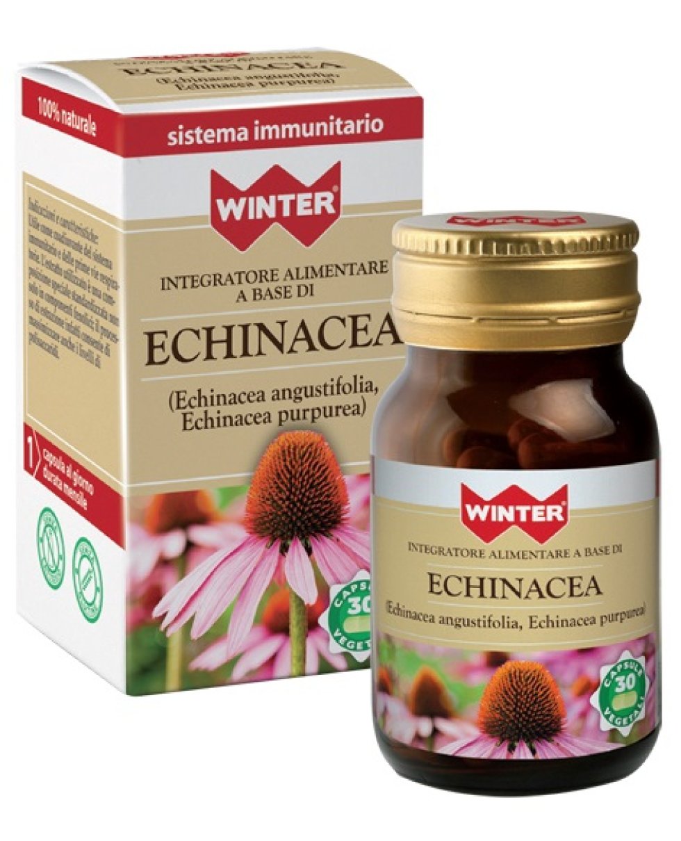 WINTER ECHINACEA 30CPS VEG