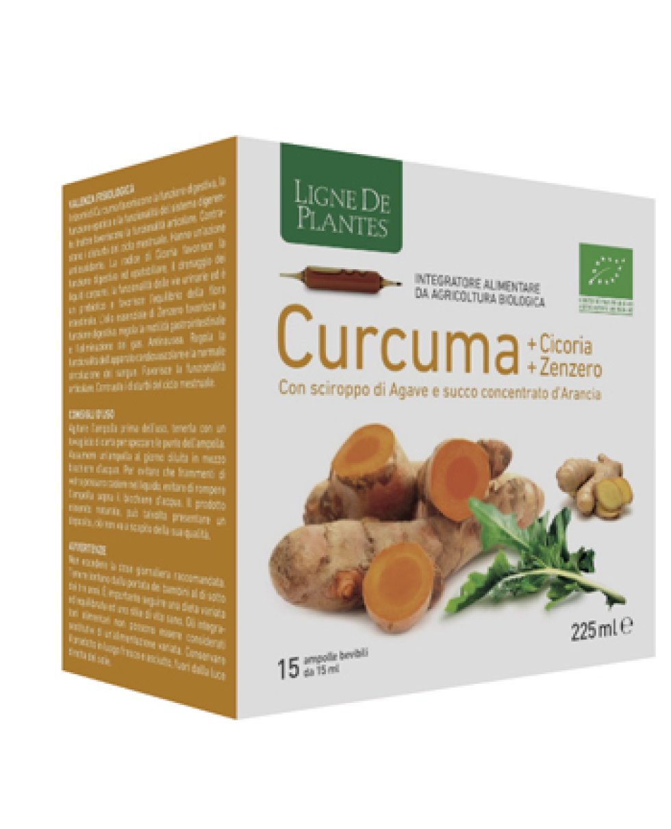 CURCUMA CICORIA ZENZERO 15FLL