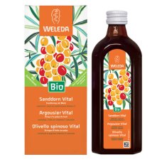 OLIVELLO SPINOSO VITAL SCIR WE