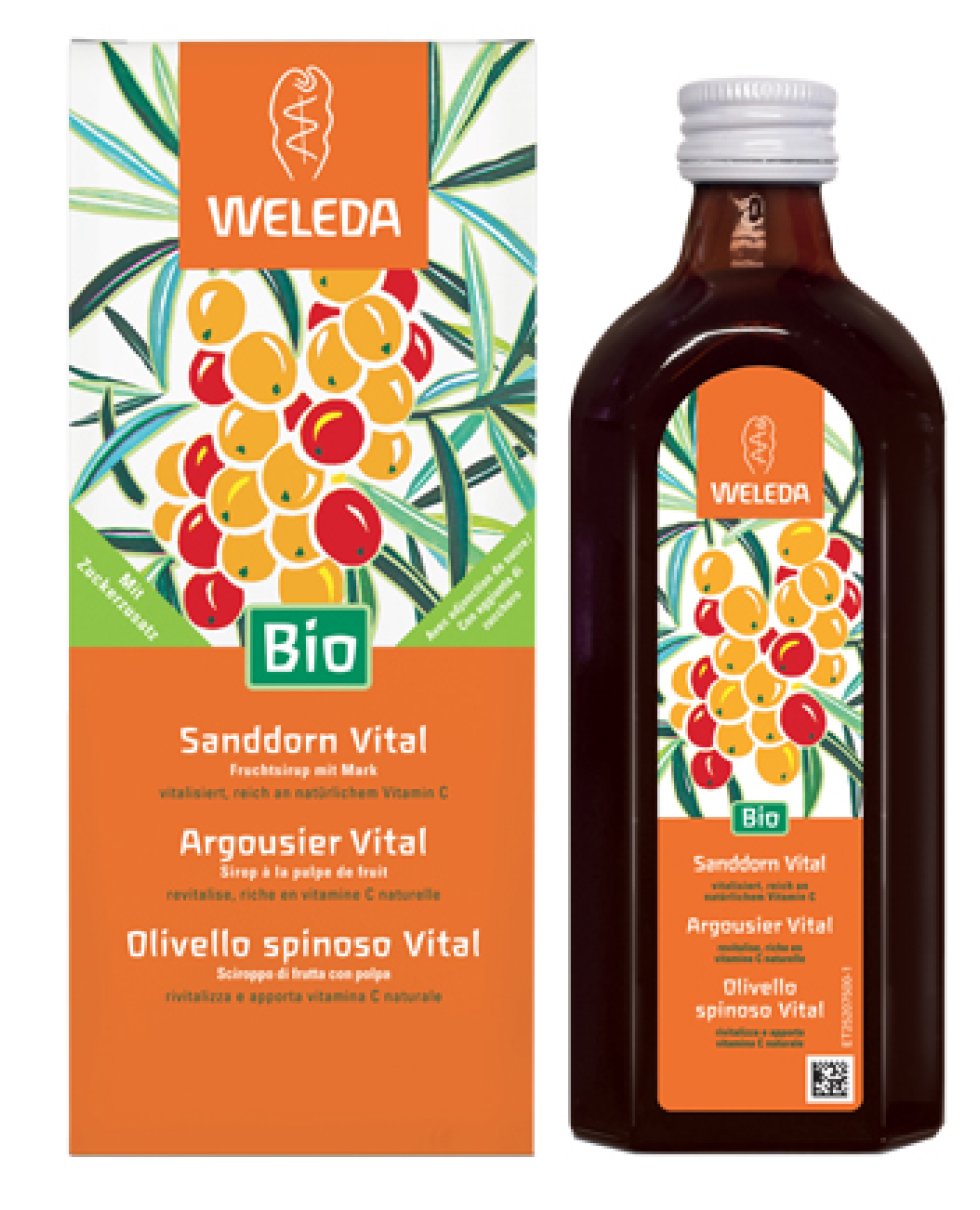 OLIVELLO SPINOSO VITAL SCIR WE