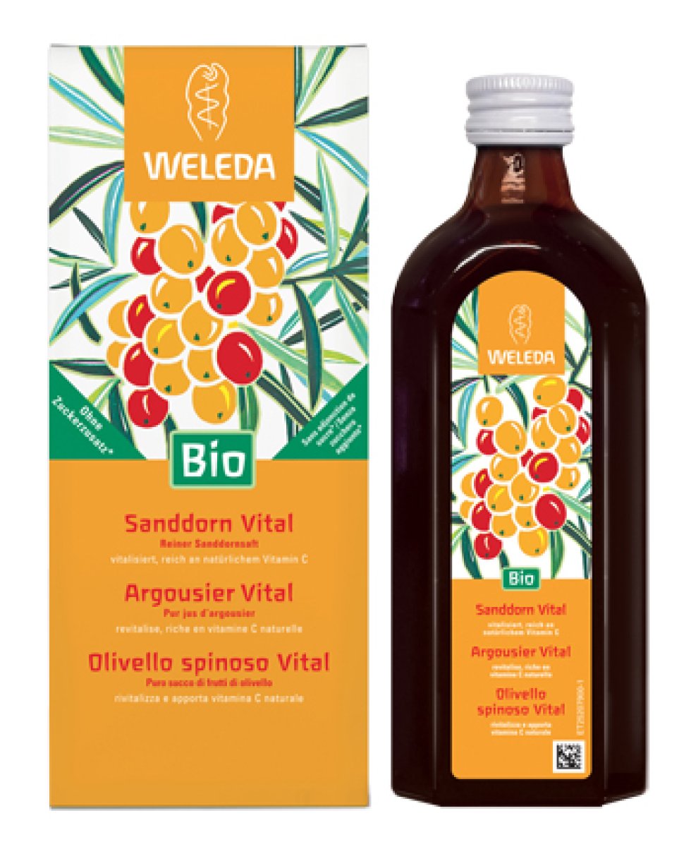 OLIVELLO SPINOSO VITAL SUCCO