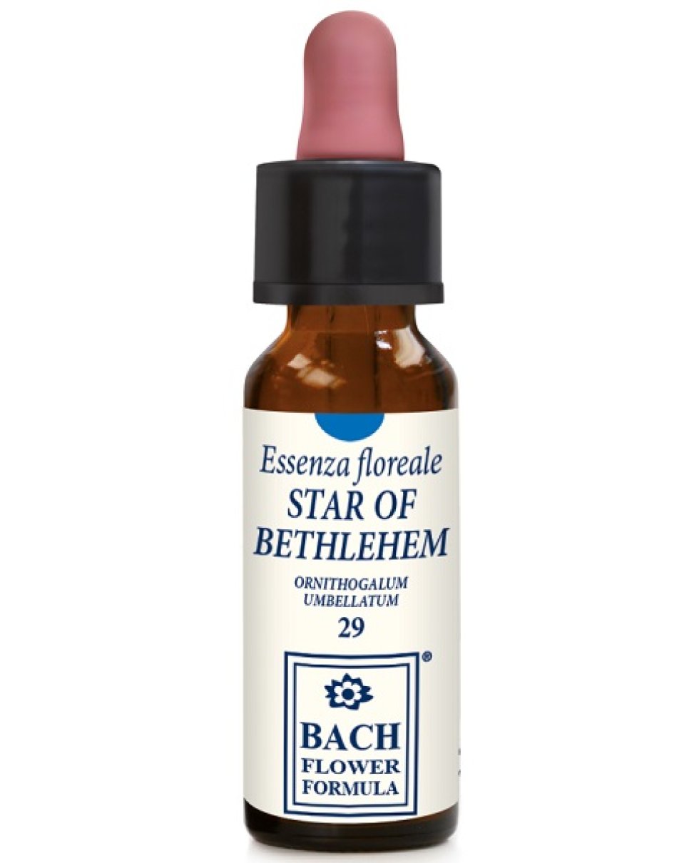 STAR OF BETHLEHEM 10ML GTT