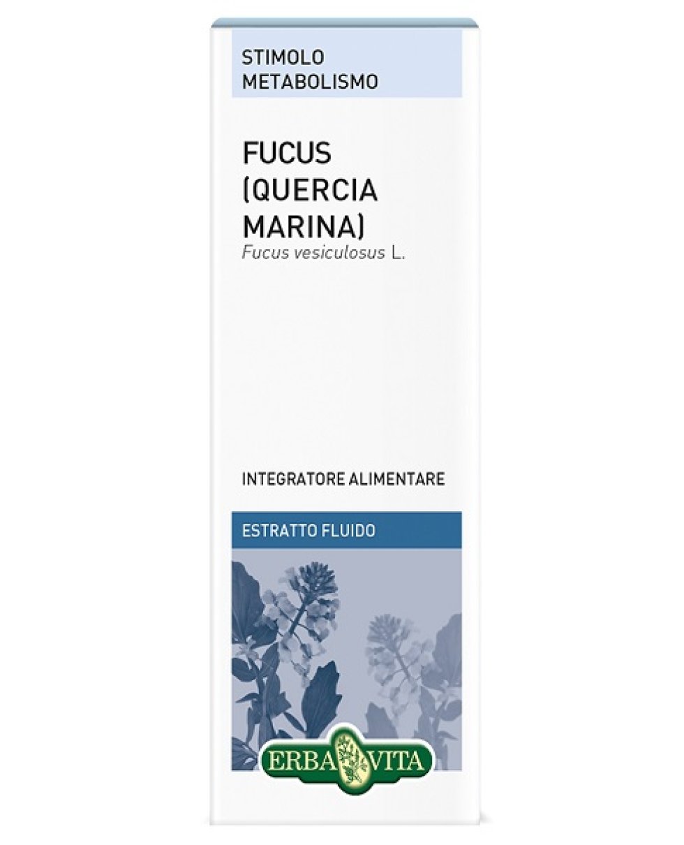 FUCUS QUERCIA MARINA ESTR FL50