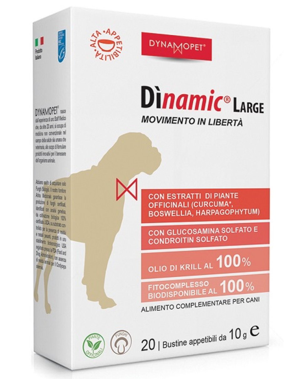 DINAMIC LARGE 20BUST 10G