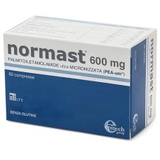 NORMAST 600MG 60CPR