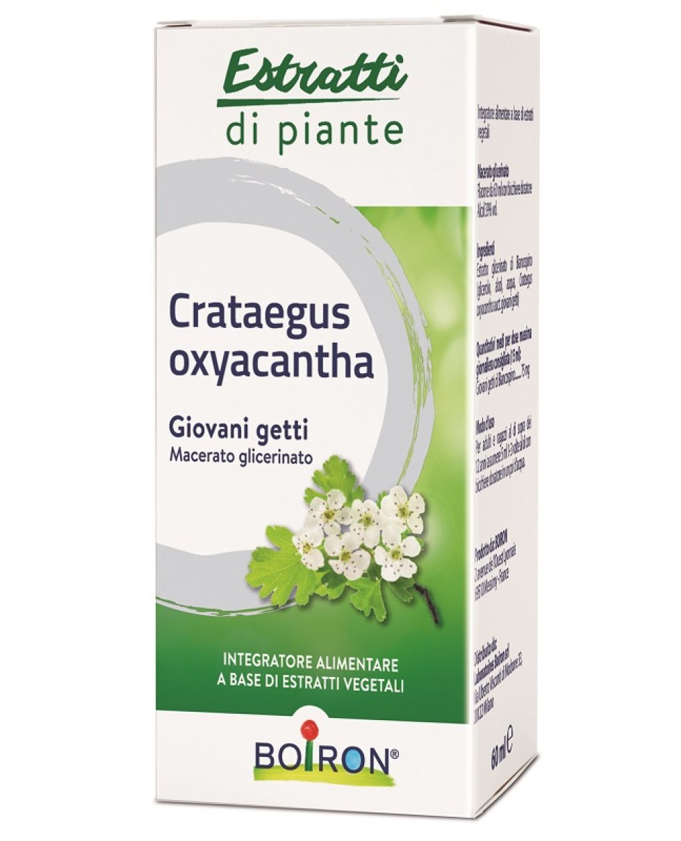 CRATAEGUS OXY MG 60ML INT BO