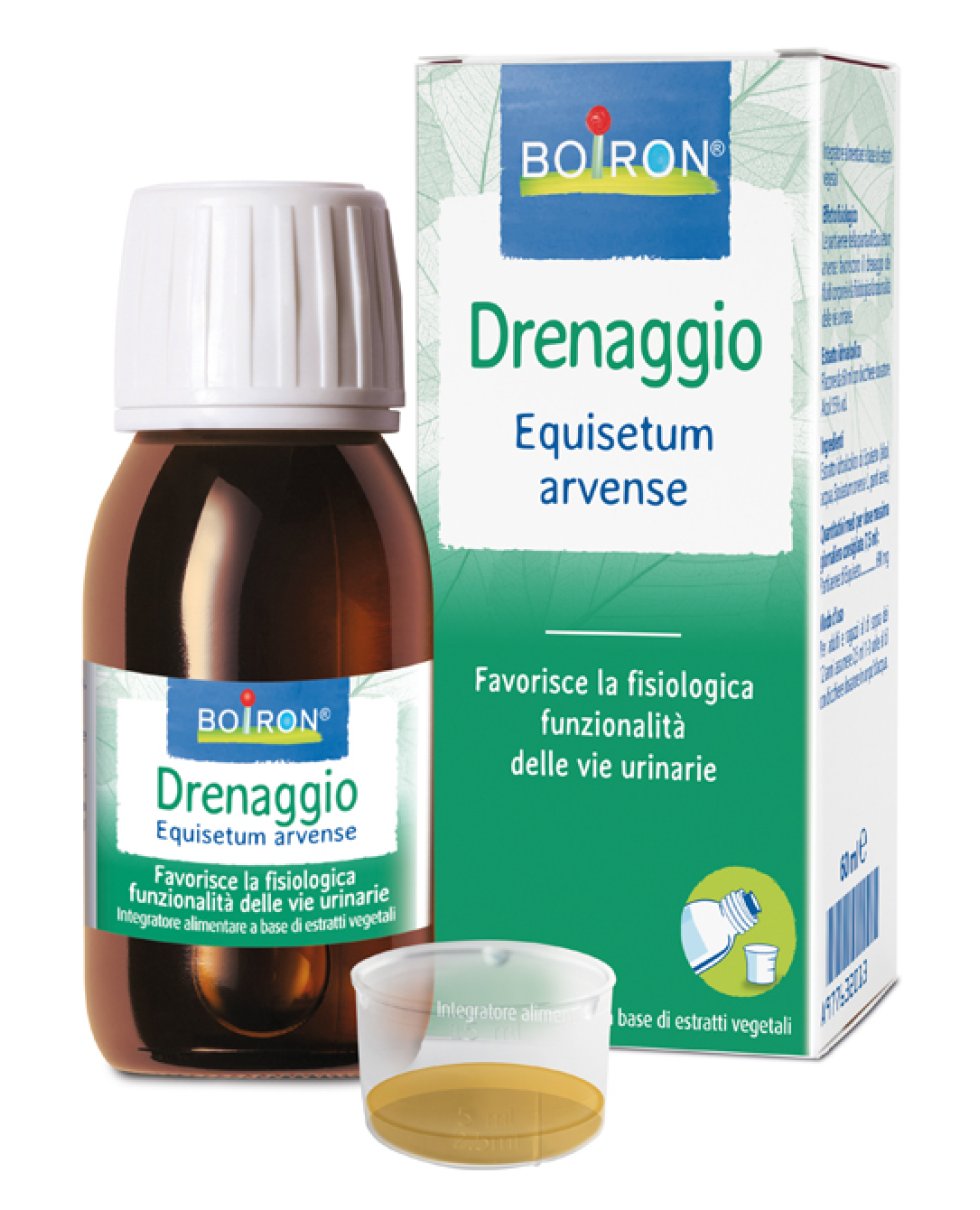 EQUISETUM ARV EI 60ML INT