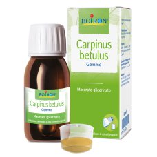 CARPINUS BETULUS MG 60ML INT