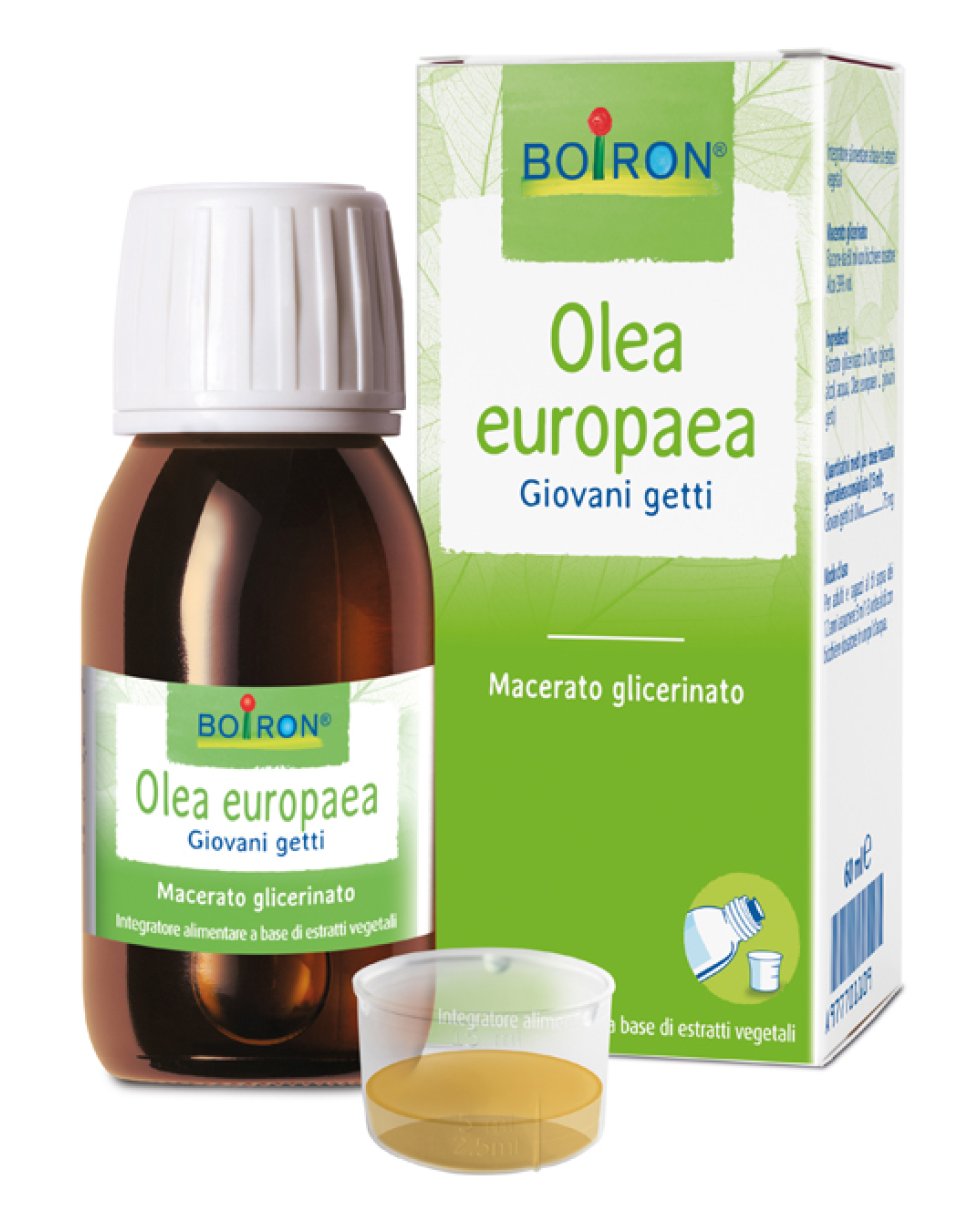 OLEA EUROPAEA MG 60ML INT