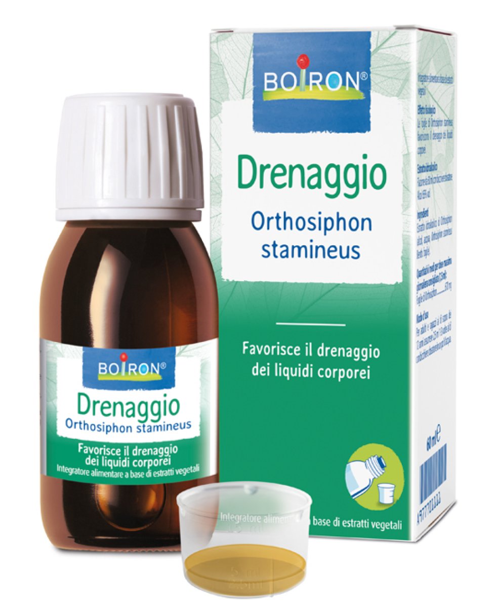 ORTHOSIPHON STA EI 60ML INT