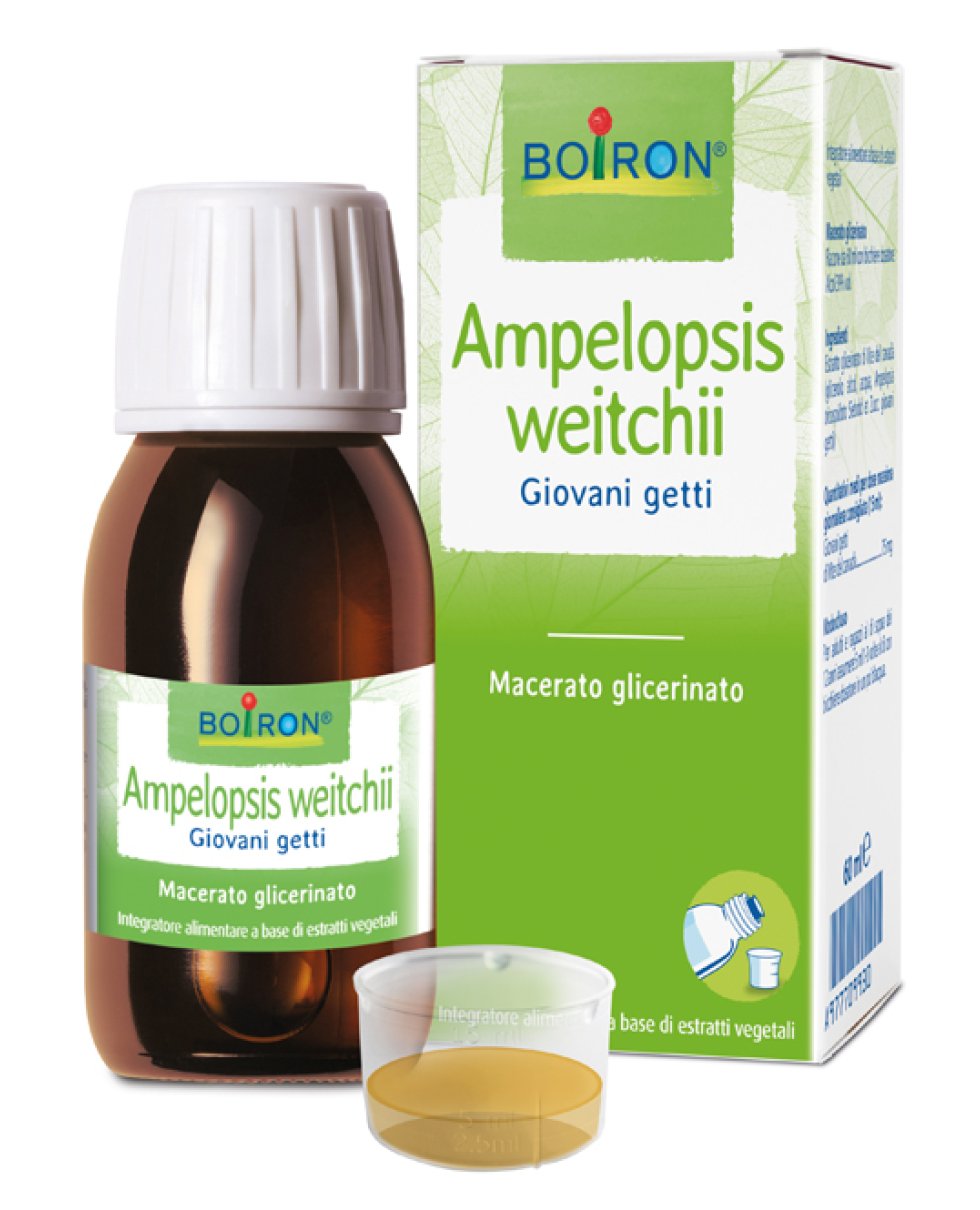 AMPELOPSIS WEI MG 60ML INT