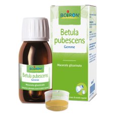 BETULA PUBESCENS MG 60ML INT