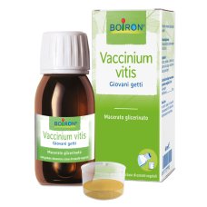 VACCINIUM VITIS MG 60ML INT BO