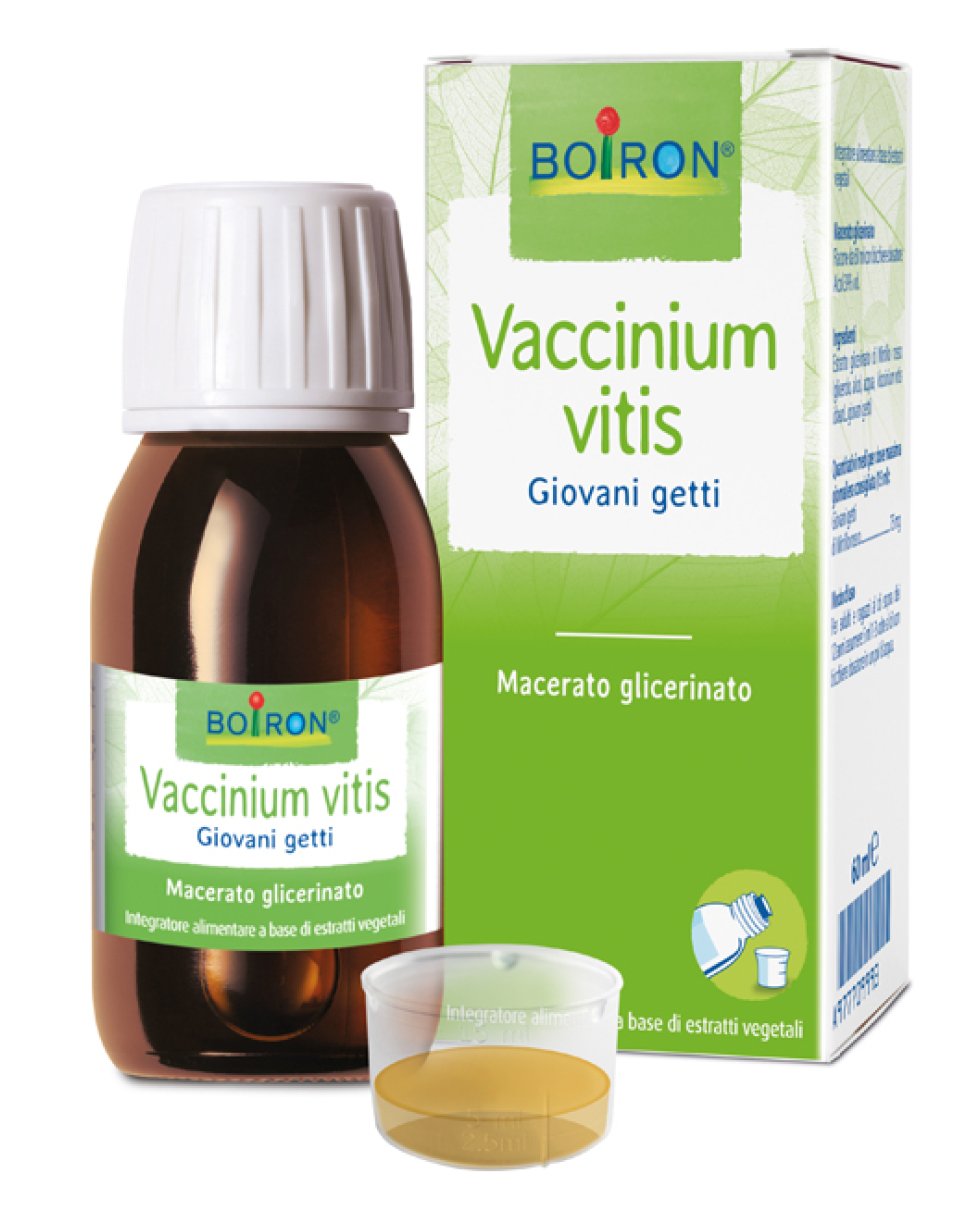 VACCINIUM VITIS MG 60ML INT BO