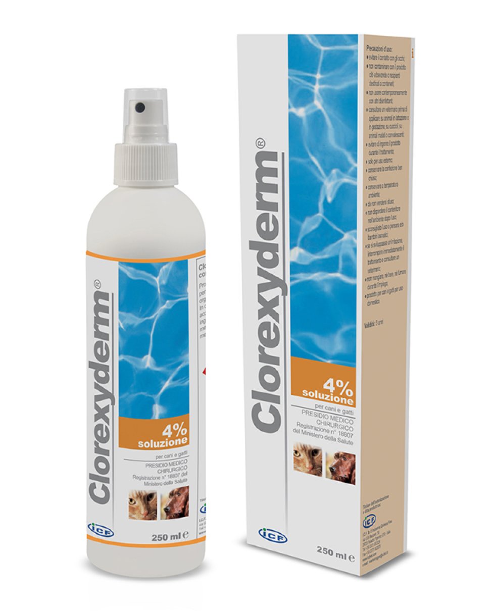 CLOREXYDERM*Soluz.4%  200ml