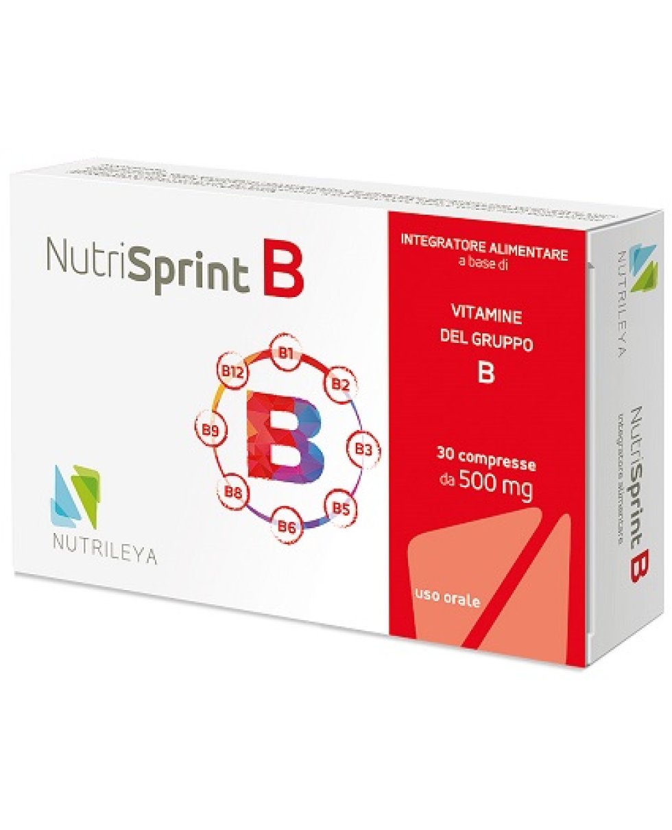 NUTRISPRINT B 30CPR