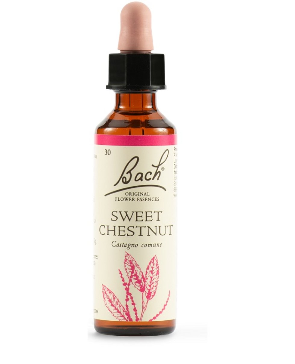 BACH SWEET CHEST BACH ORIG 20ML