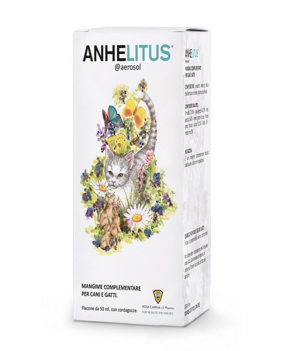 ANHELITUS AEROSOL 50 ML