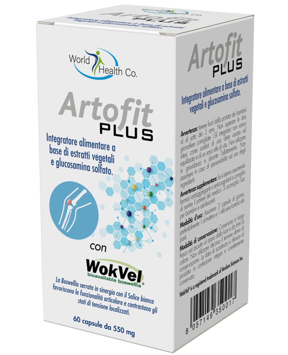 ARTOFIT PLUS 60CPS