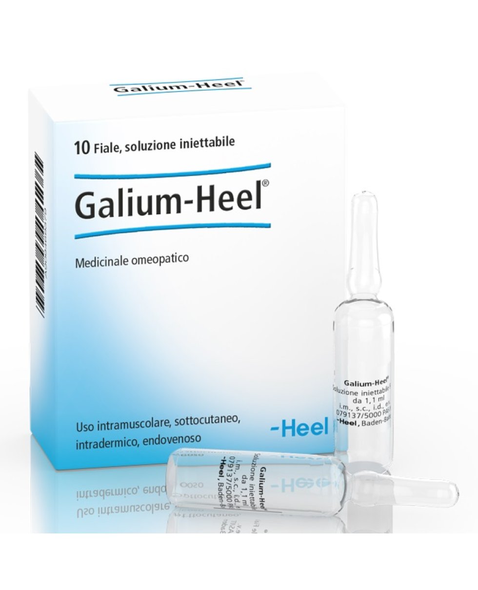 GALIUM 10F 1,1ML HEEL