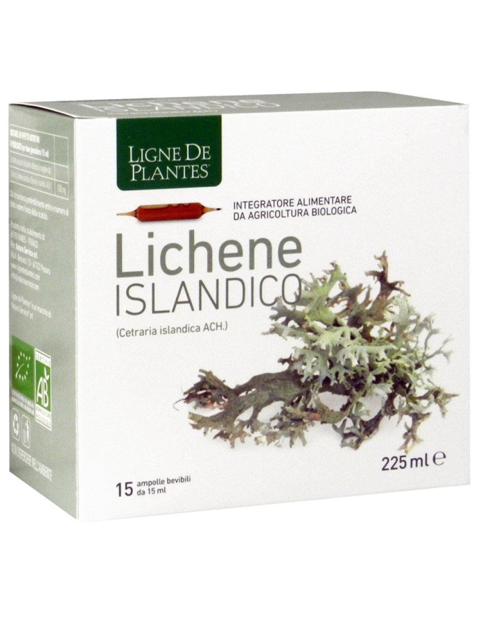 LICHENE ISLANDICO 15AMPX15ML