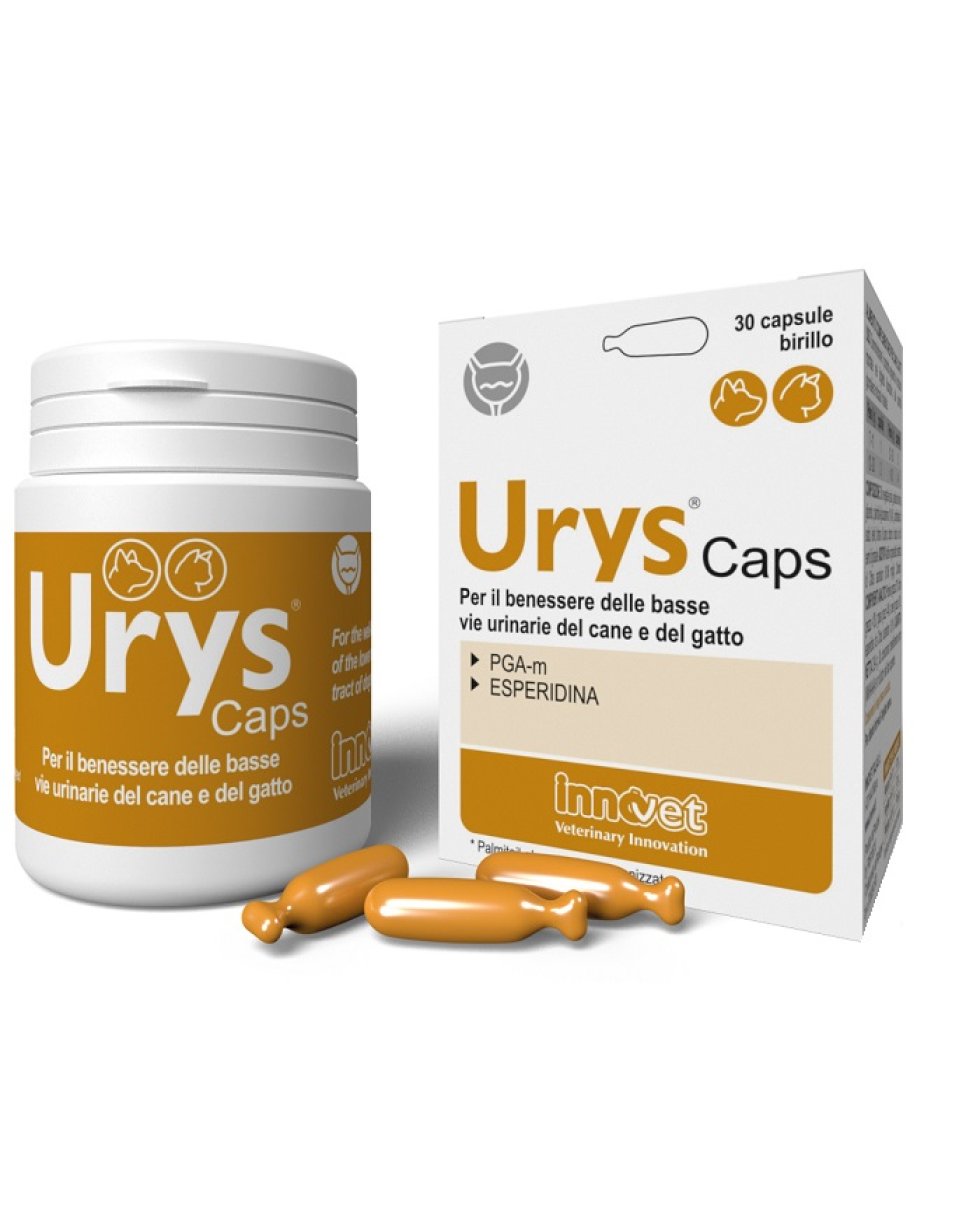 URYS CAPS 30CPS