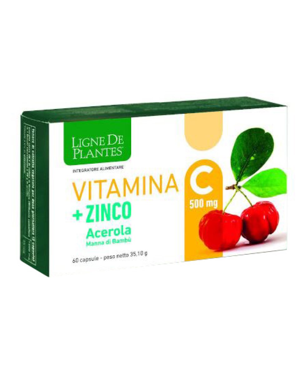 VITAMINA C 500MG+ZI/AC/BA60CPS