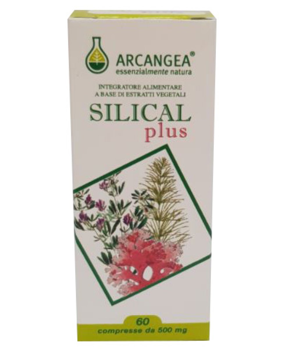 SILICAL PLUS 60CPR