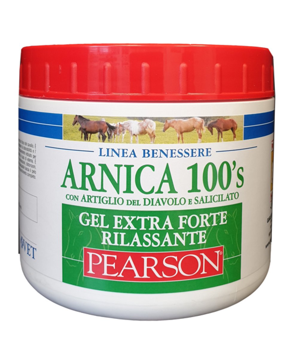 ARNICA 100'S EXTRA FT RIL500ML