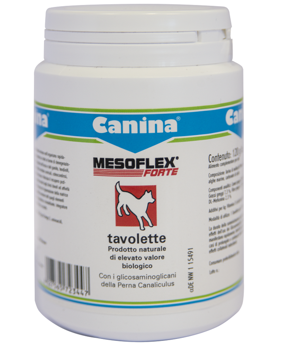 MESOFLEX FORTE 120 TAV