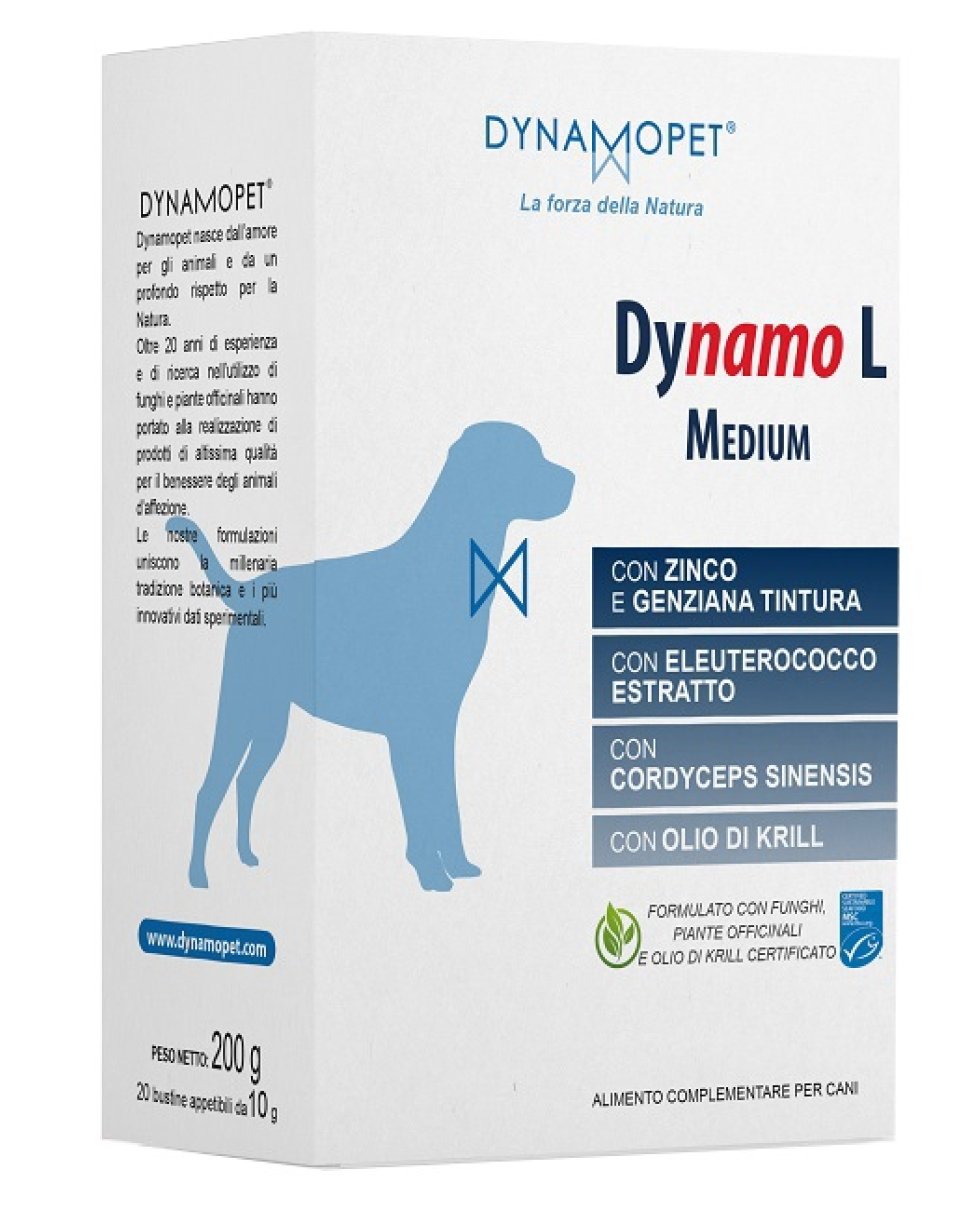 DYNAMO L MEDIUM 20BUST 10G