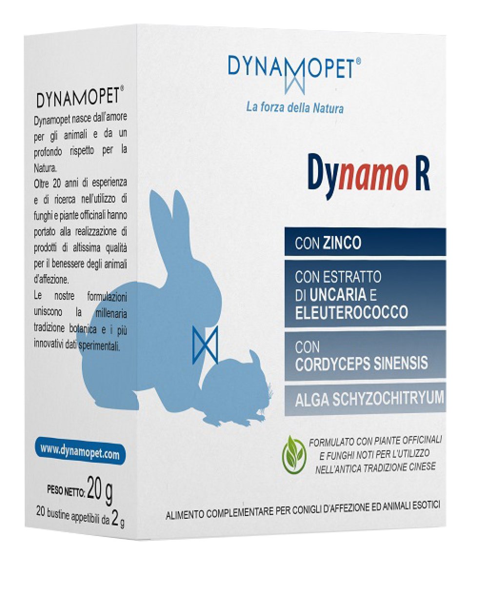 DYNAMO R 20 Bust.2g