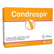 CONDROSPIR 14BUST